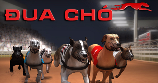 Bí Quyết Chơi Game Nhanh Đua Chó Tại V9Bet: Hướng Dẫn Chuyên Sâu